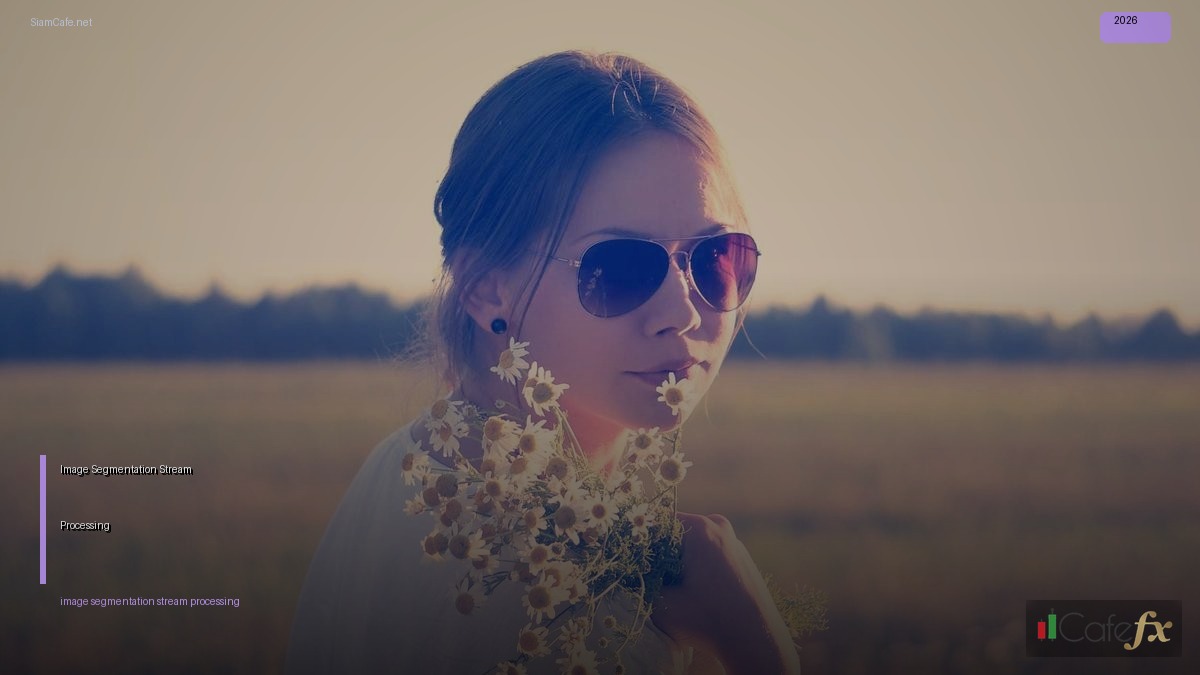Image Segmentation Stream Processing | SiamCafe Blog