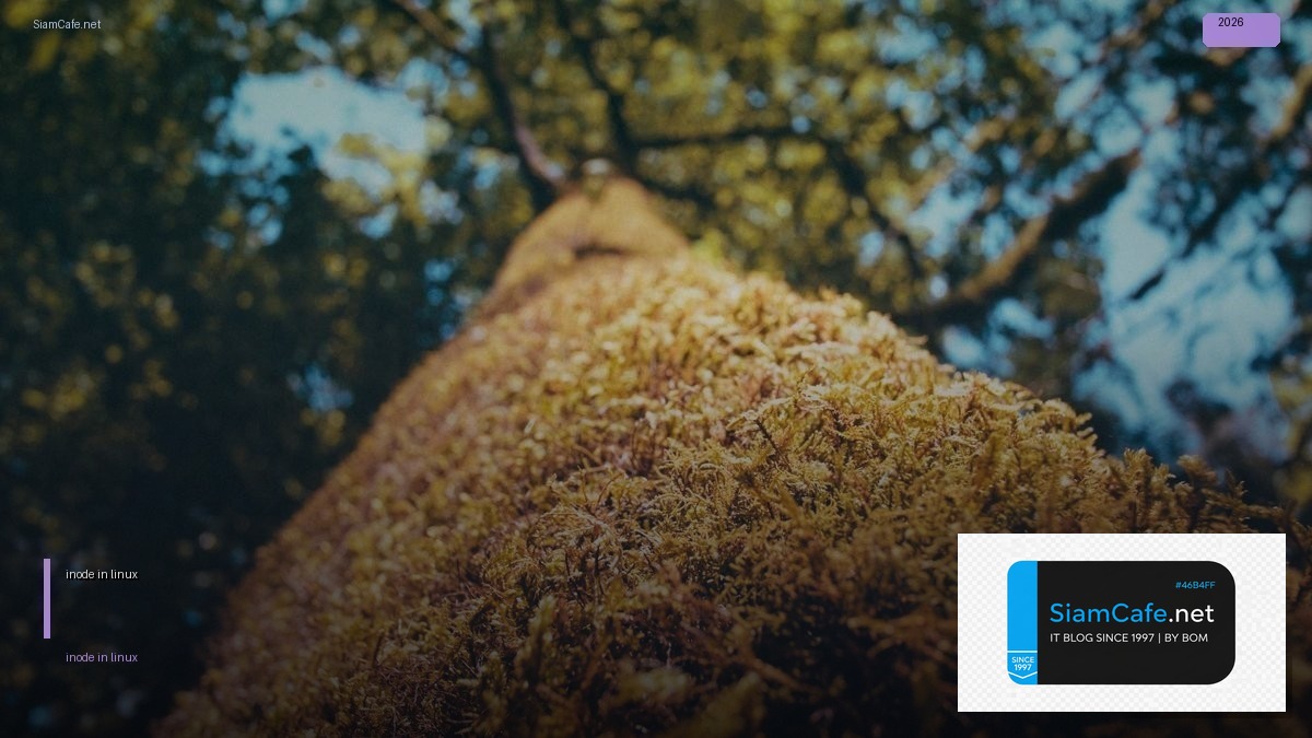 inode in linux คือ — คู่มือฉบับสมบูรณ์ 2026 | SiamCafe Blog