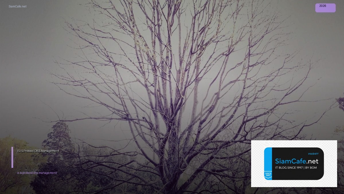IS-IS Protocol DNS Management — คู่มือฉบับสมบูรณ์ 2026 | SiamCafe Blog