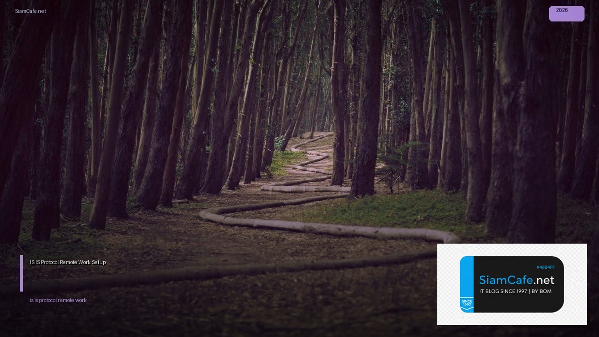 is is protocol remote work setup