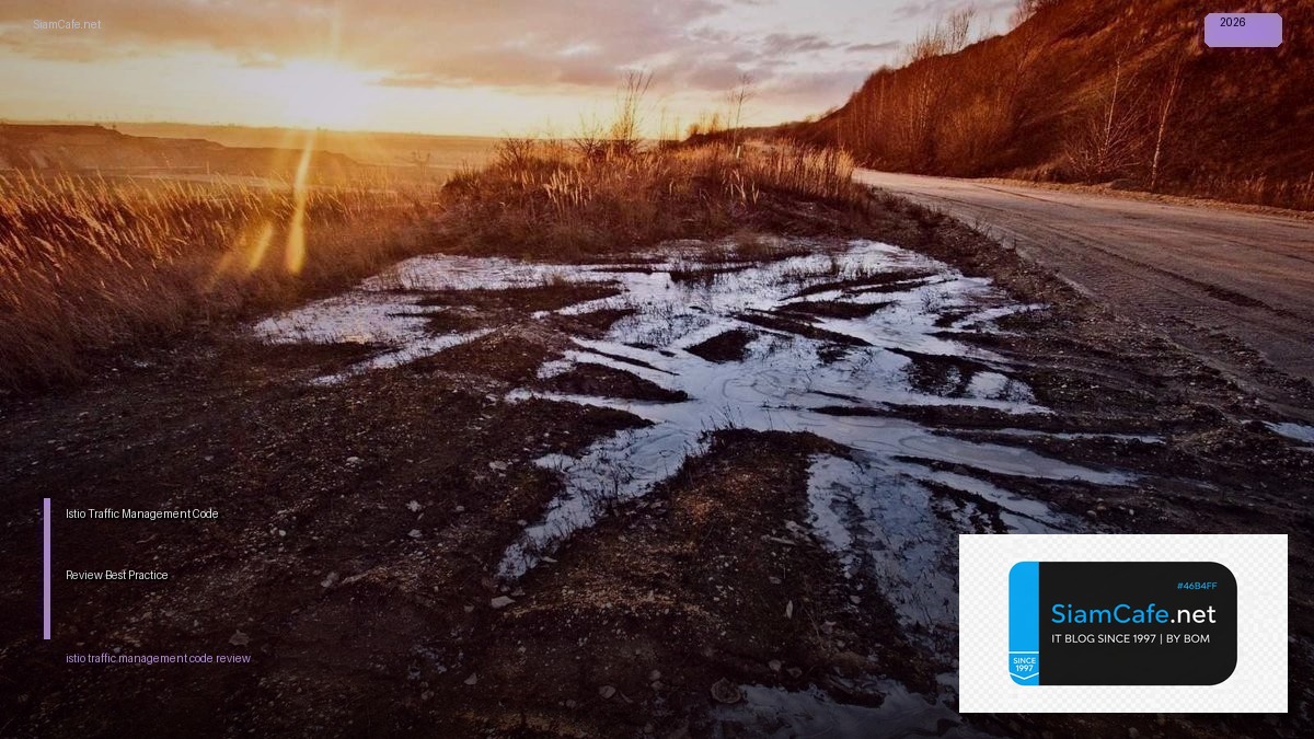 istio traffic management code review best practice