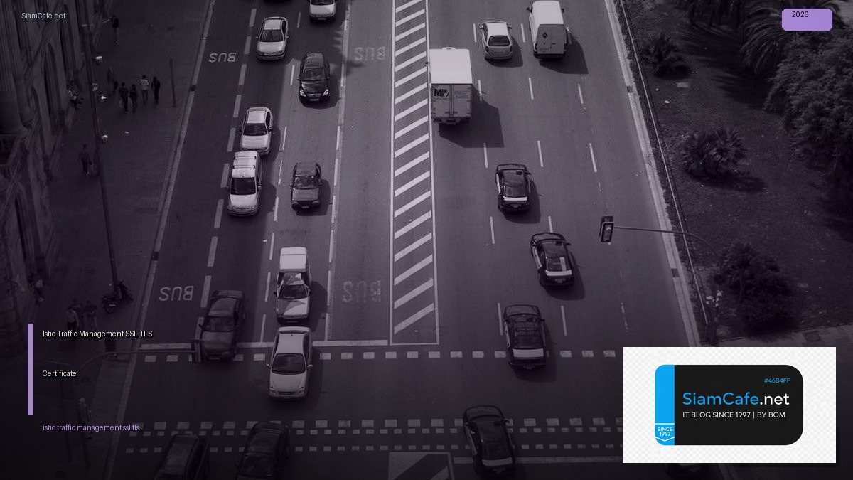 Istio Traffic Management SSL TLS Certificate — คู่มือฉบับสมบูรณ์ 2026 | SiamCafe Blog