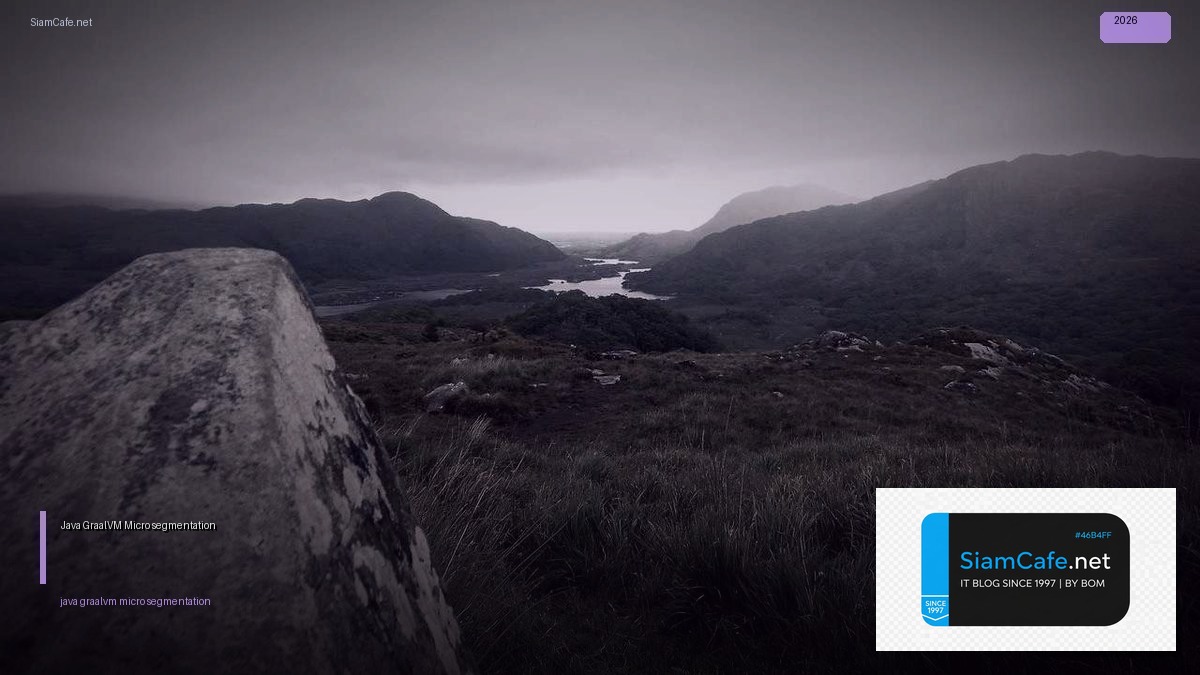 java graalvm micro segmentation