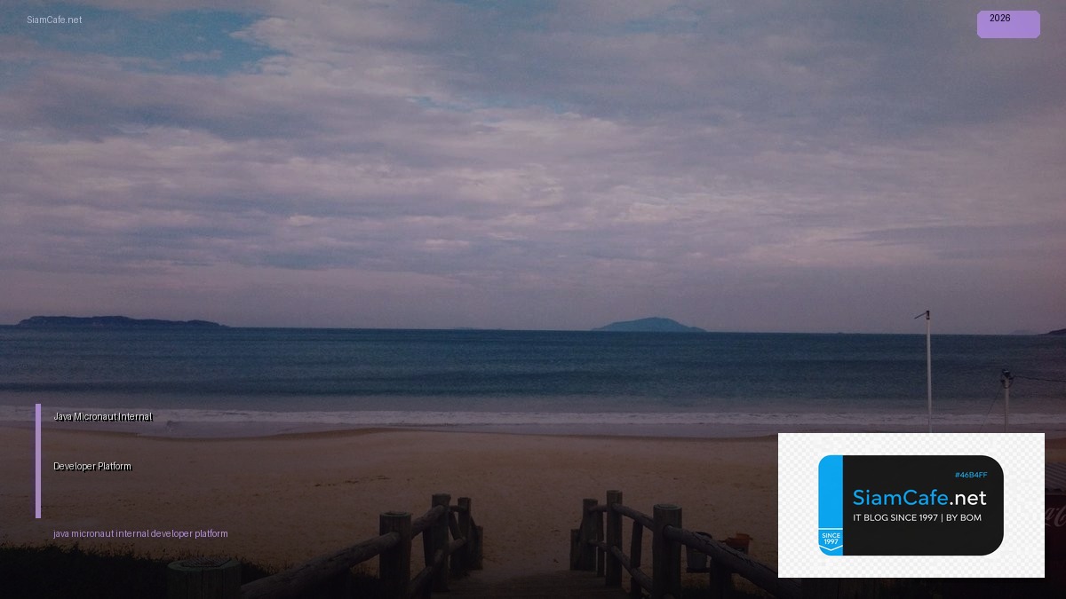 java micronaut internal developer platform