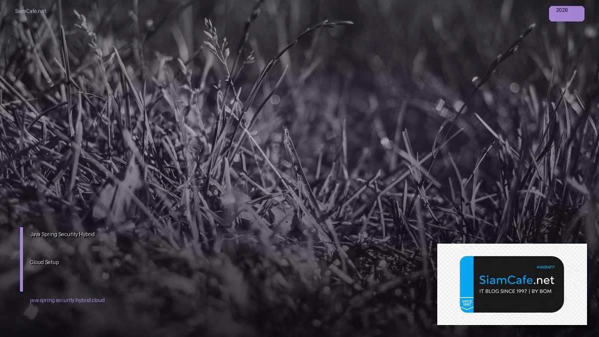 java spring security hybrid cloud setup