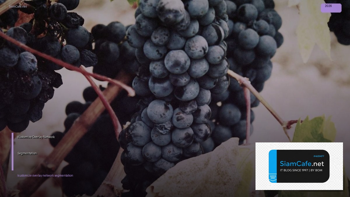 kustomize overlay network segmentation