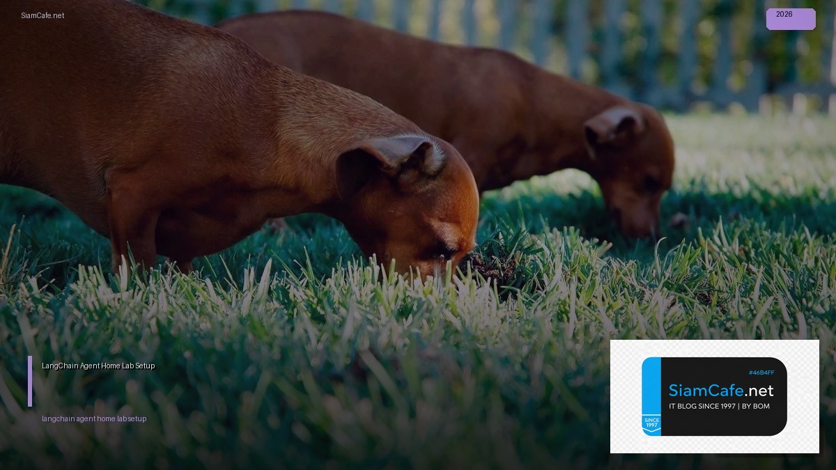 LangChain Agent Home Lab Setup | SiamCafe Blog