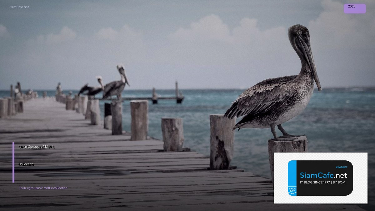 linux cgroups v2 metric collection