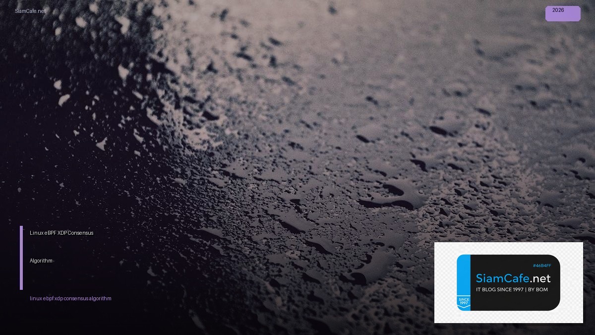 Linux eBPF XDP Consensus Algorithm — คู่มือฉบับสมบูรณ์ 2026 | SiamCafe Blog
