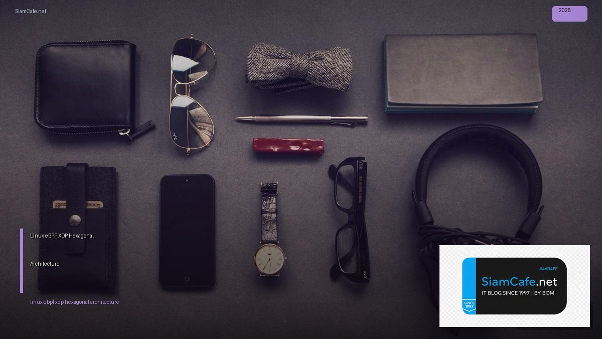 linux ebpf xdp hexagonal architecture