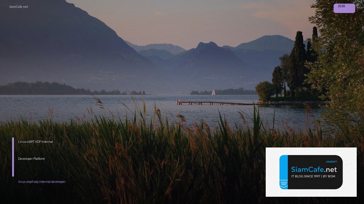 linux ebpf xdp internal developer platform