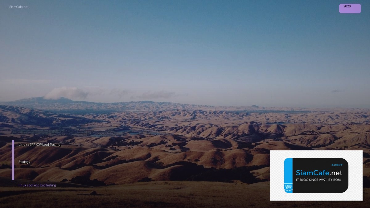 linux ebpf xdp load testing strategy