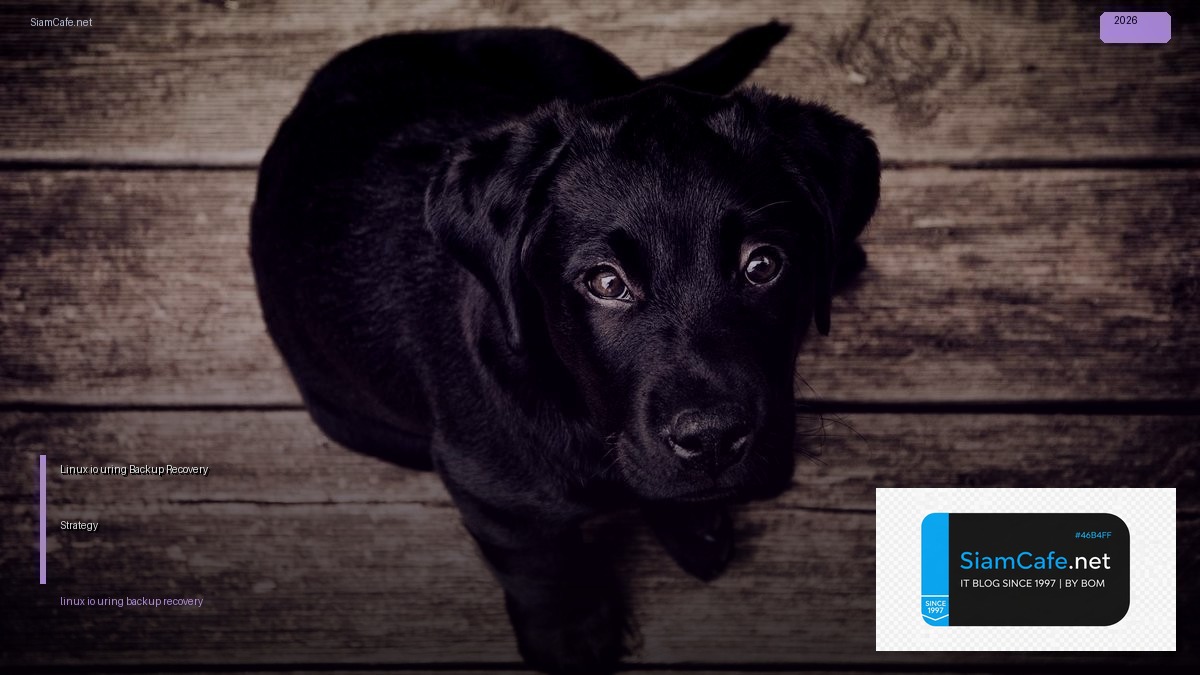 linux io_uring backup recovery strategy