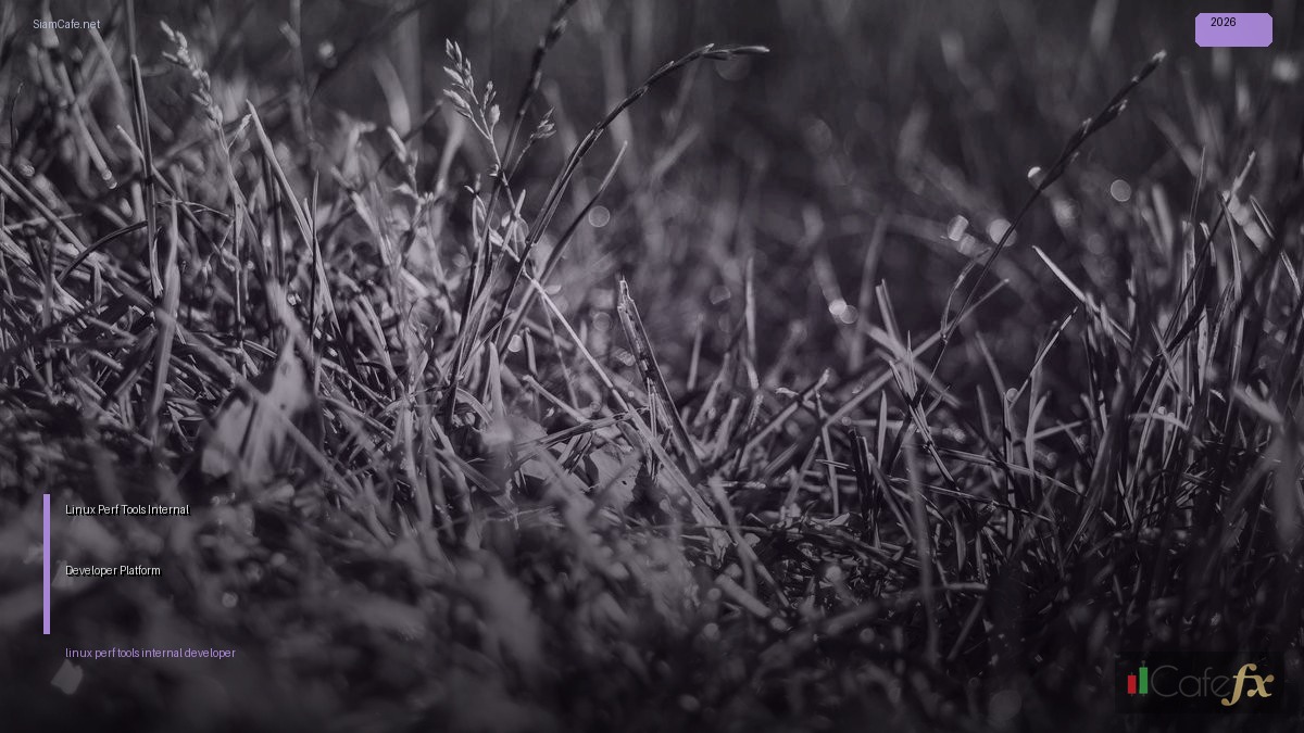 Linux Perf Tools Internal Developer Platform — คู่มือฉบับสมบูรณ์ 2026 | SiamCafe Blog