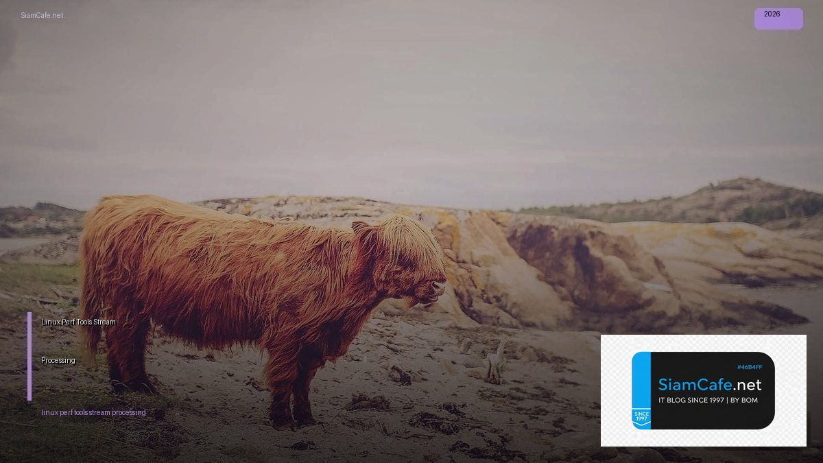 linux perf tools stream processing