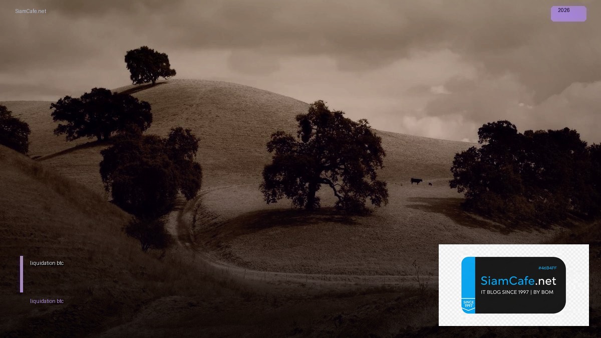 liquidation btc — คู่มือฉบับสมบูรณ์ 2026 | SiamCafe Blog