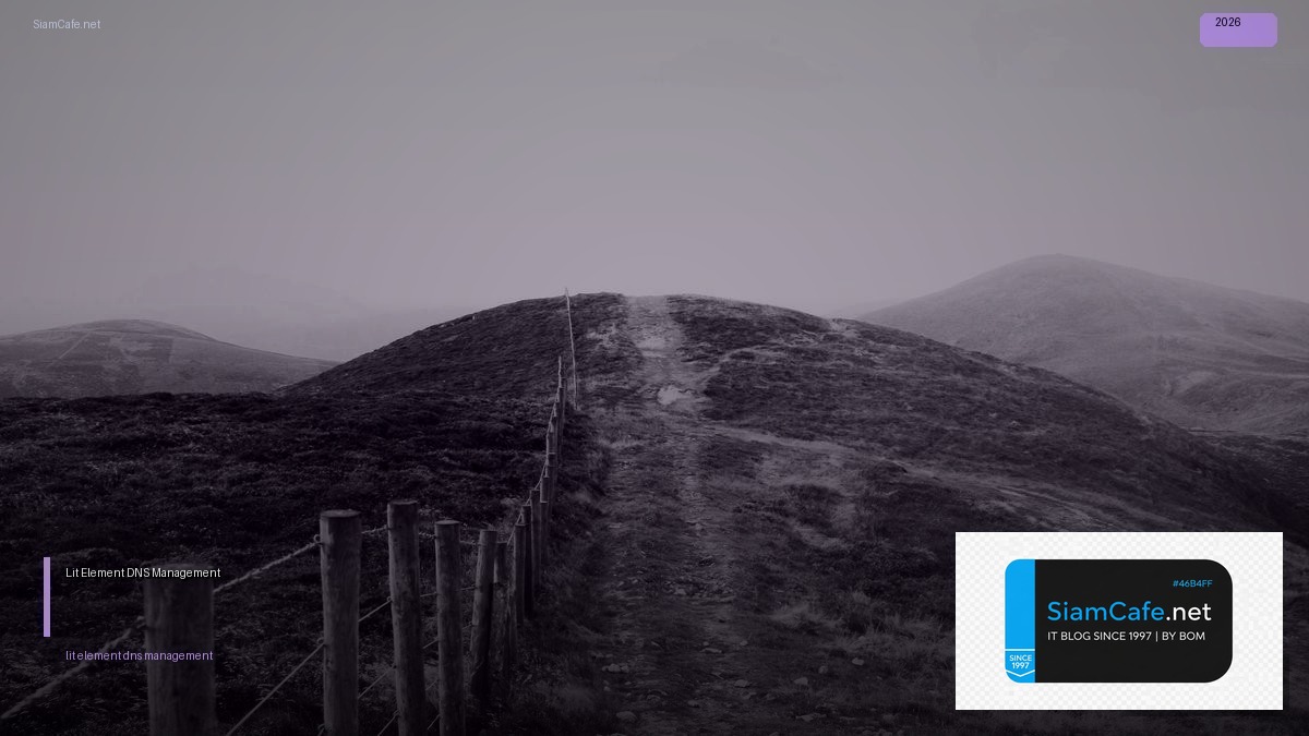 lit element dns management