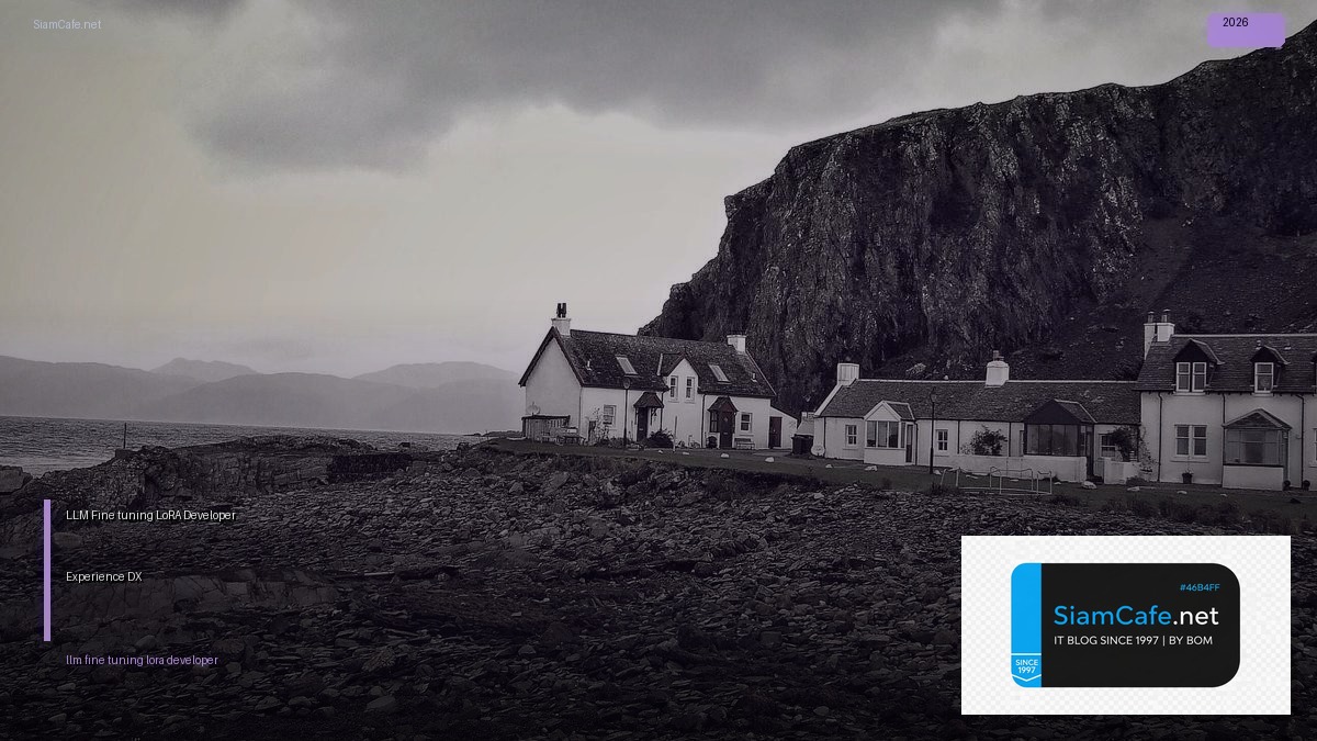 llm fine tuning lora developer experience dx