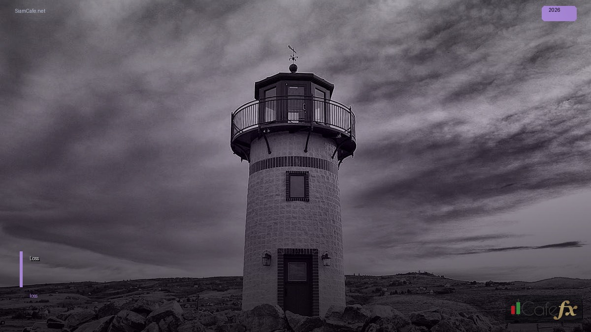 Loss แปลว่าอะไร | SiamCafe Blog