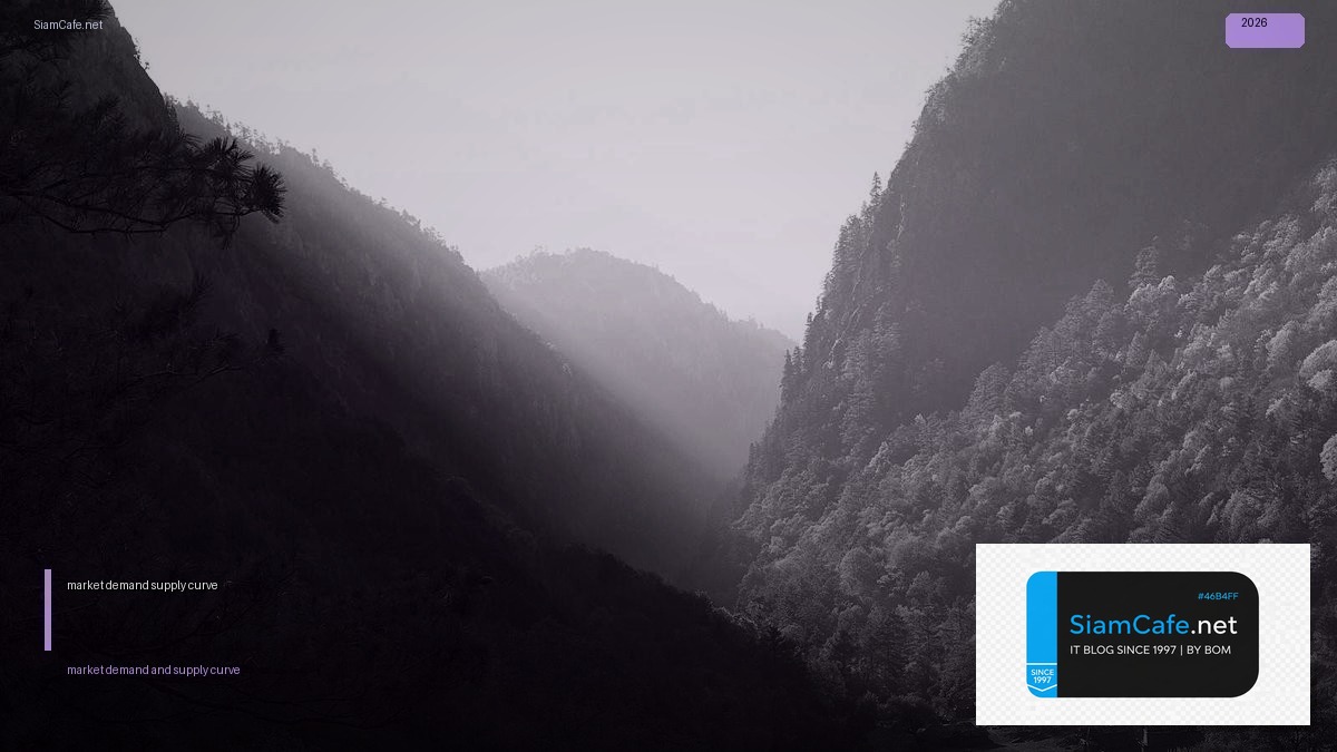 market demand and supply curve