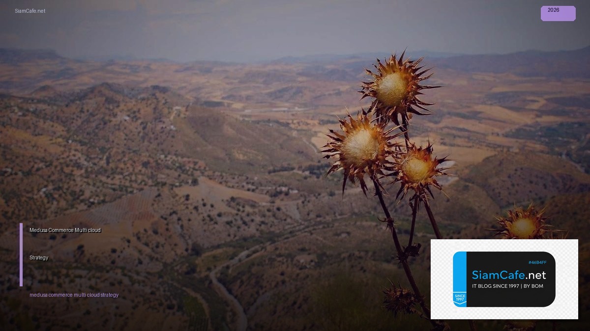 medusa commerce multi cloud strategy