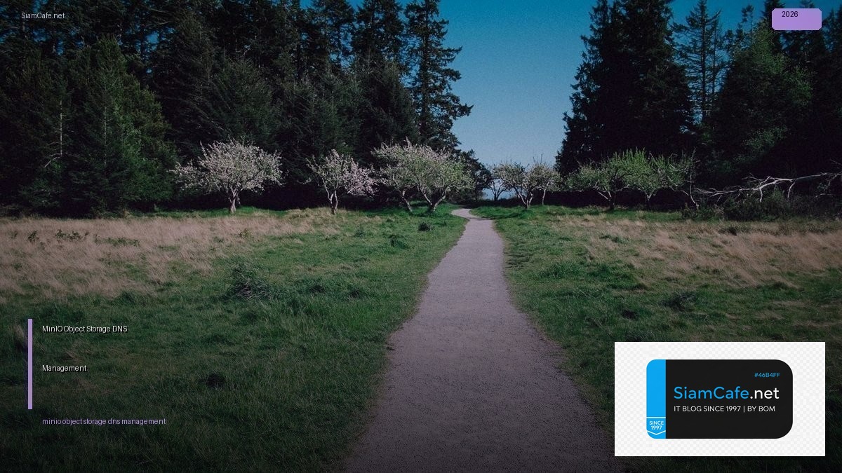 minio object storage dns management