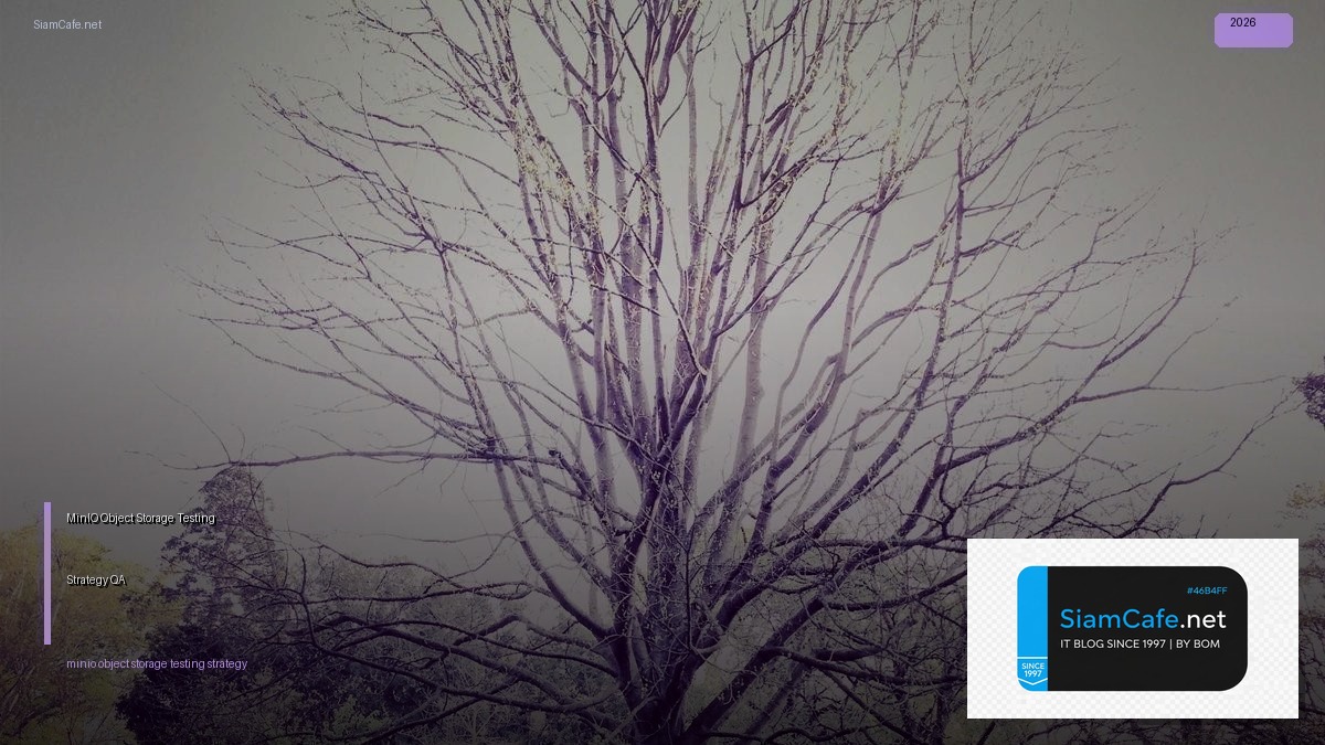 minio object storage testing strategy qa