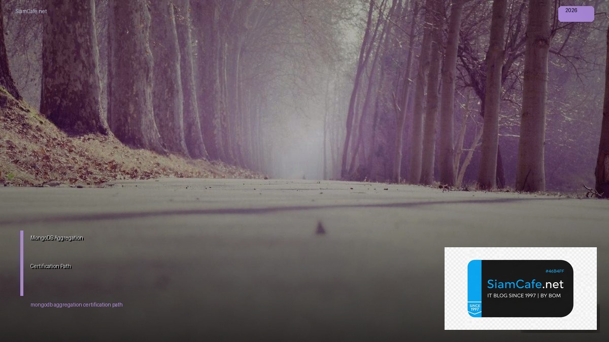 mongodb aggregation certification path