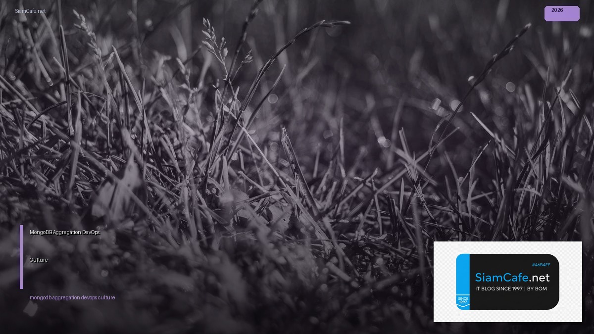 mongodb aggregation devops culture