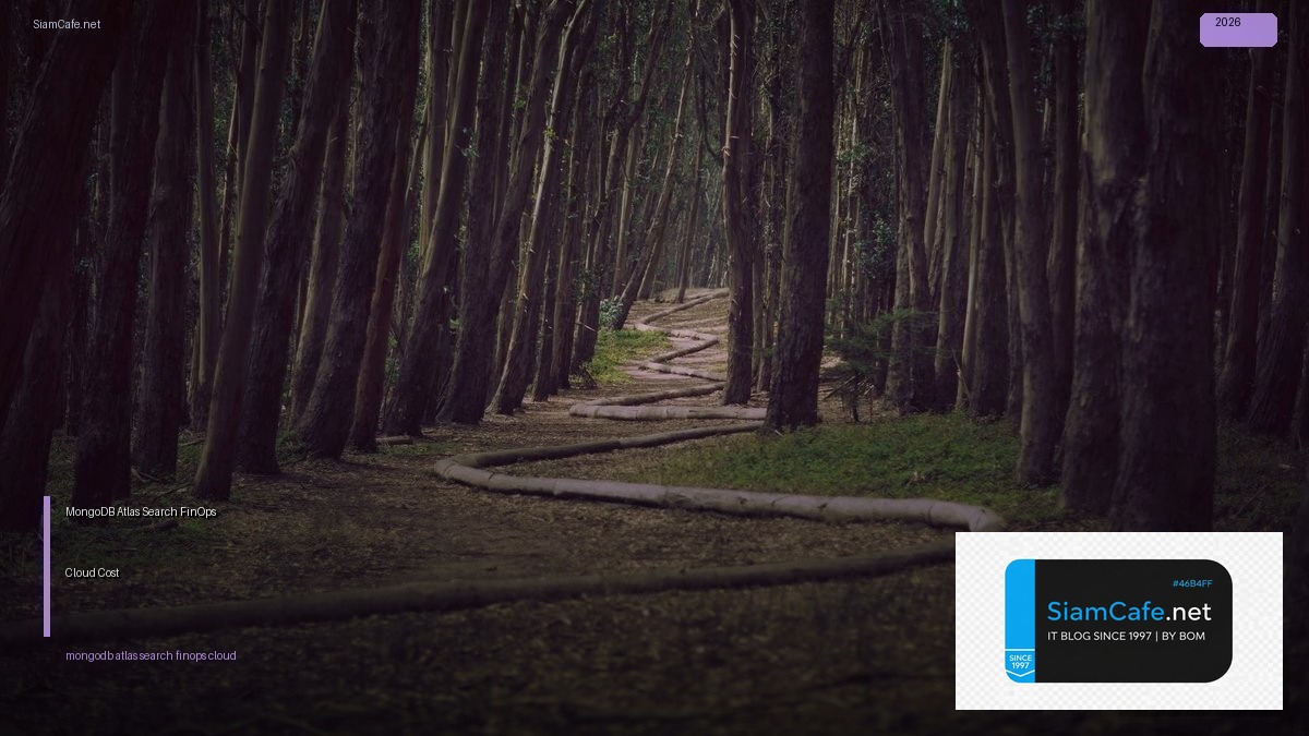 mongodb atlas search finops cloud cost