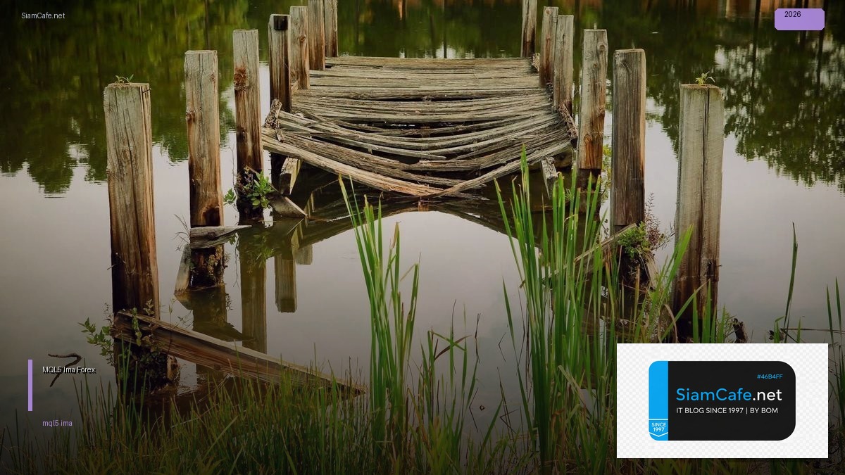 MQL5 Ima — คู่มือเทรด Forex ฉบับสมบูรณ์ 2026 | SiamCafe Blog