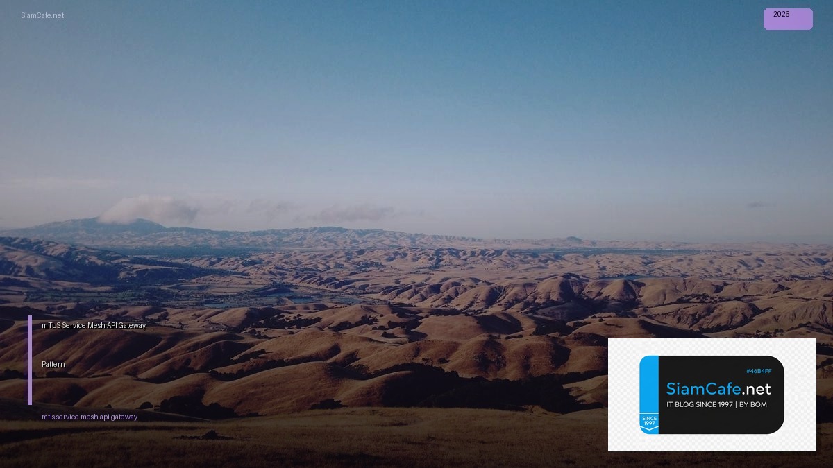 mtls service mesh api gateway pattern