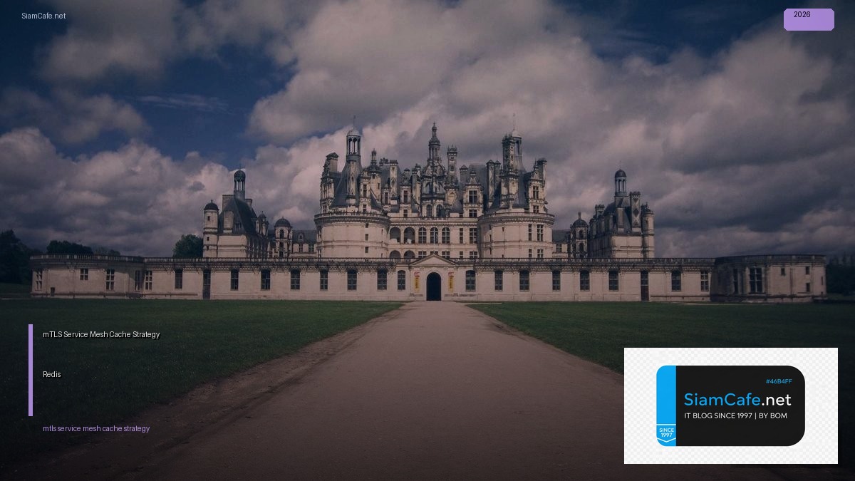 mTLS Service Mesh Cache Strategy Redis — คู่มือฉบับสมบูรณ์ 2026 | SiamCafe Blog