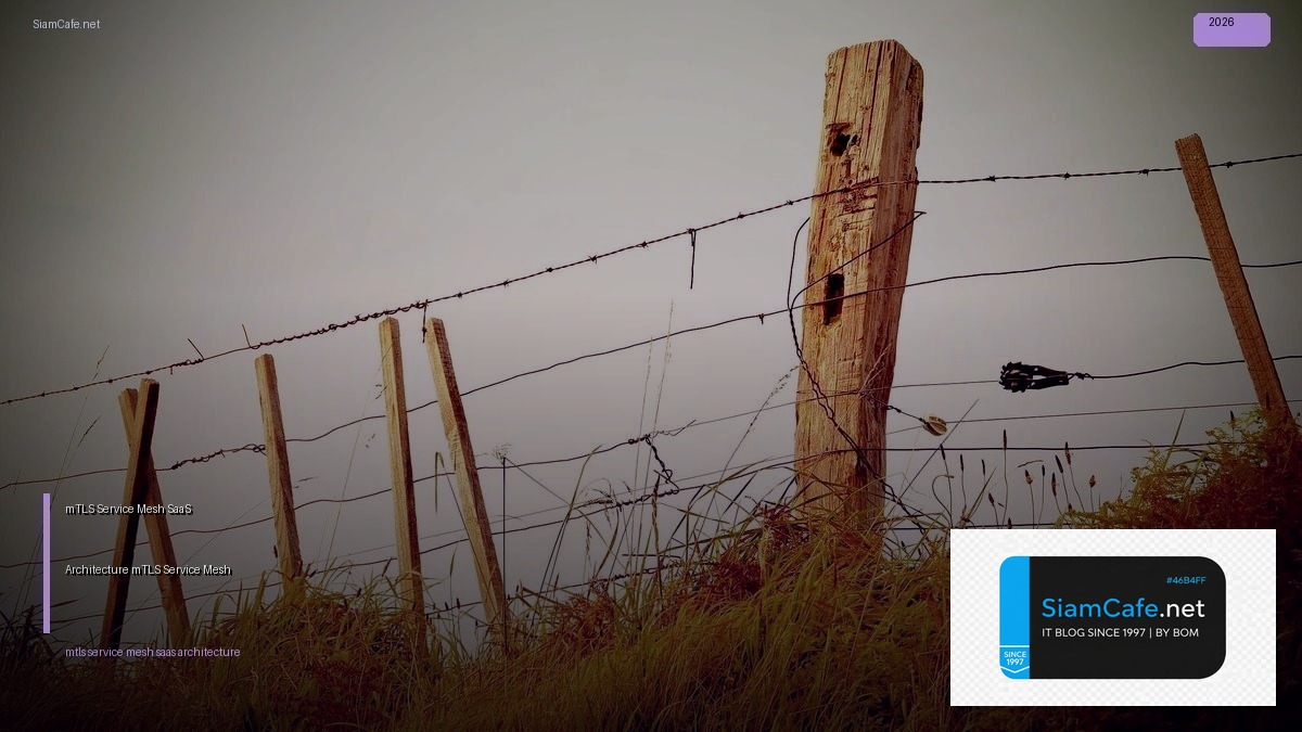 mTLS Service Mesh กับ SaaS Architecture — วิธีใช้ mTLS ใน Service Mesh | SiamCafe Blog