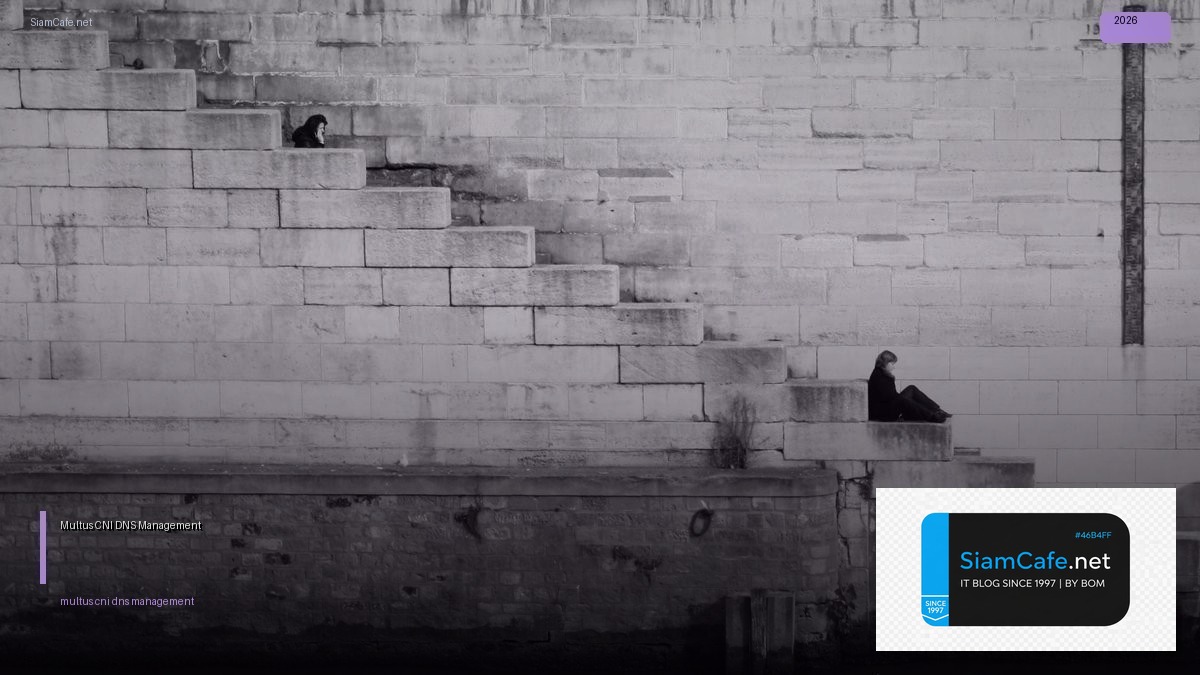 multus cni dns management