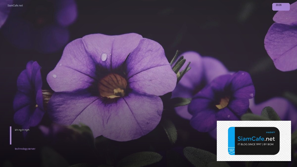 mức kháng cự và hỗ trợ có ý nghĩa gì