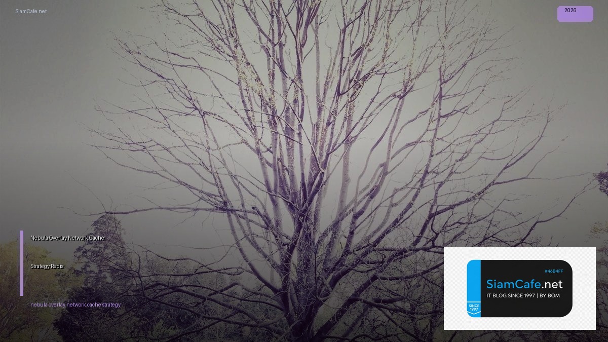 Nebula Overlay Network Cache Strategy Redis — คู่มือฉบับสมบูรณ์ 2026 | SiamCafe Blog