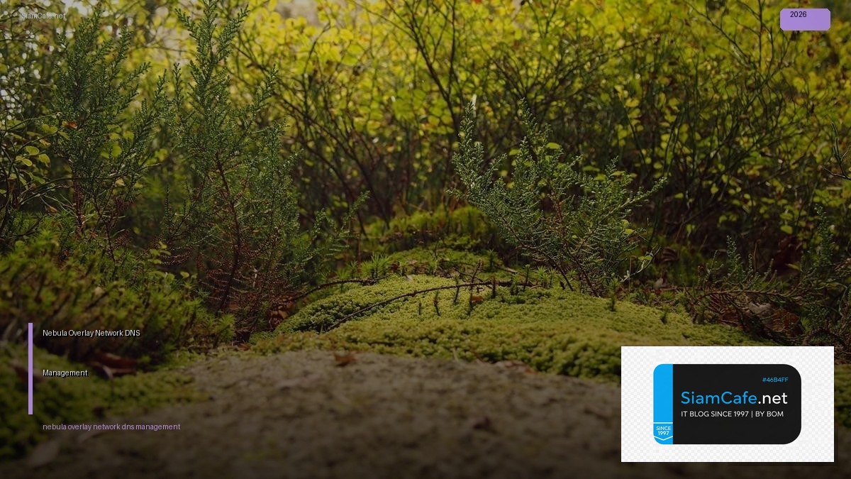 Nebula Overlay Network DNS Management — คู่มือฉบับสมบูรณ์ 2026 | SiamCafe Blog