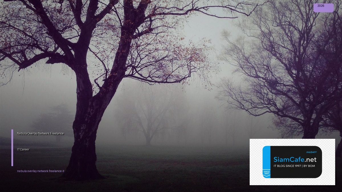 nebula overlay network freelance it career