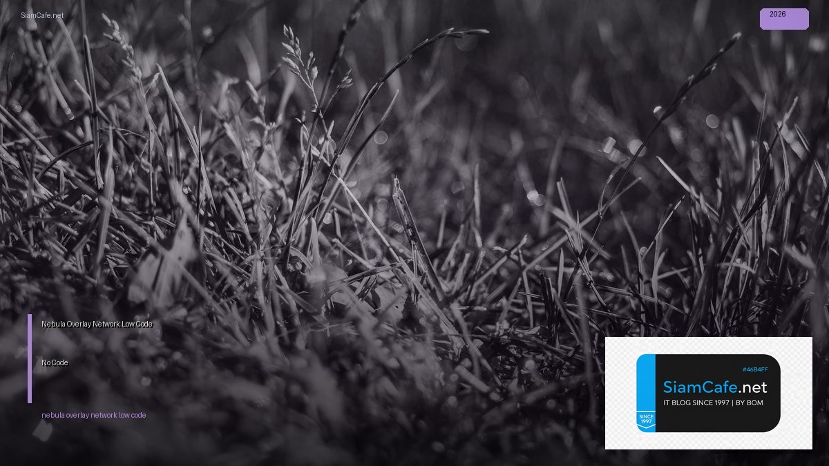 nebula overlay network low code no code