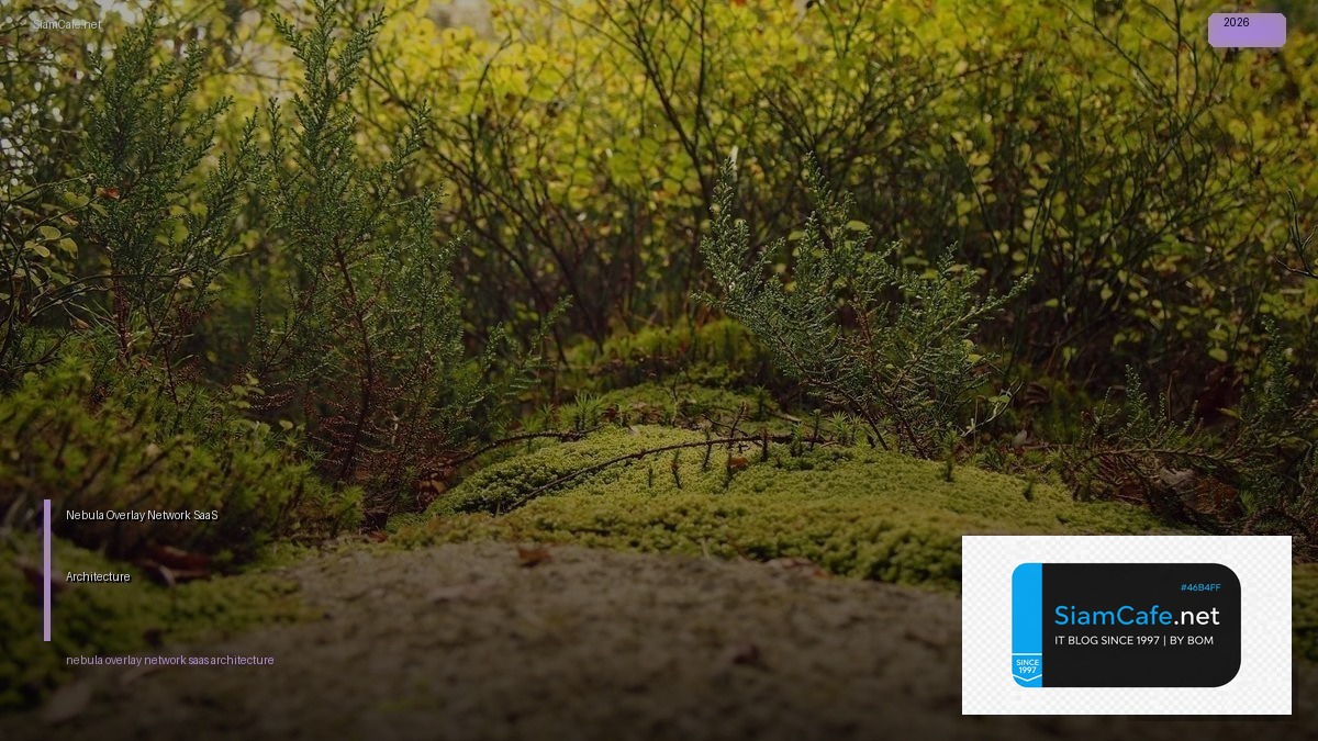 nebula overlay network saas architecture