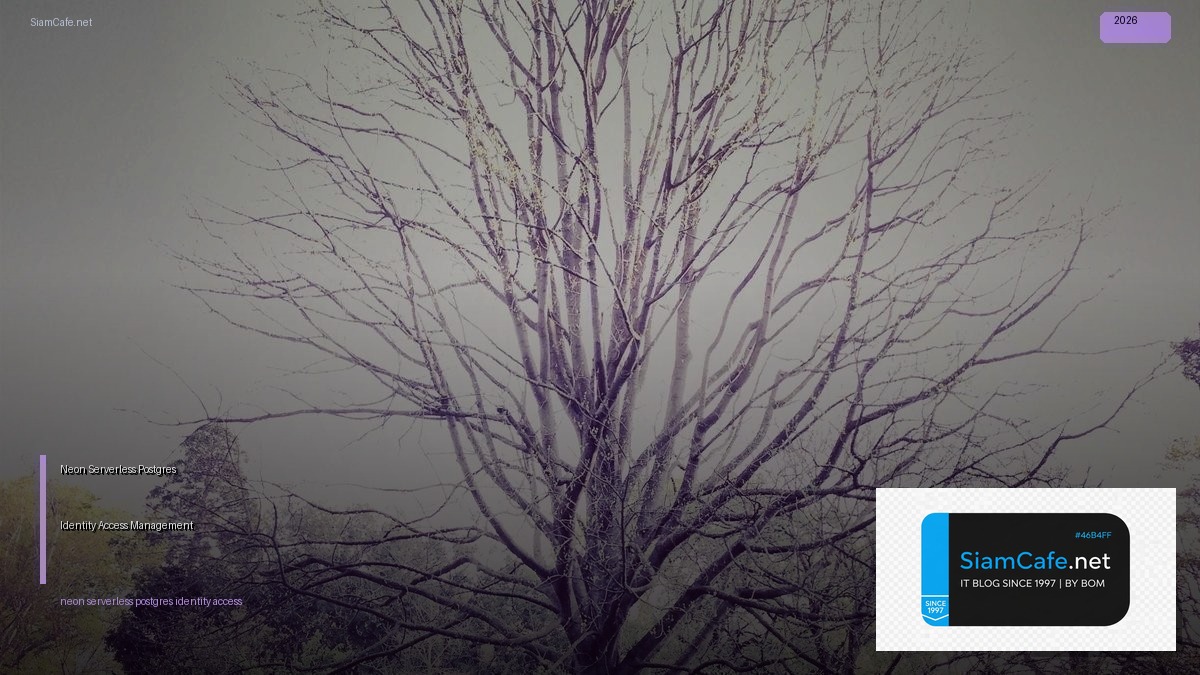 neon serverless postgres identity access management