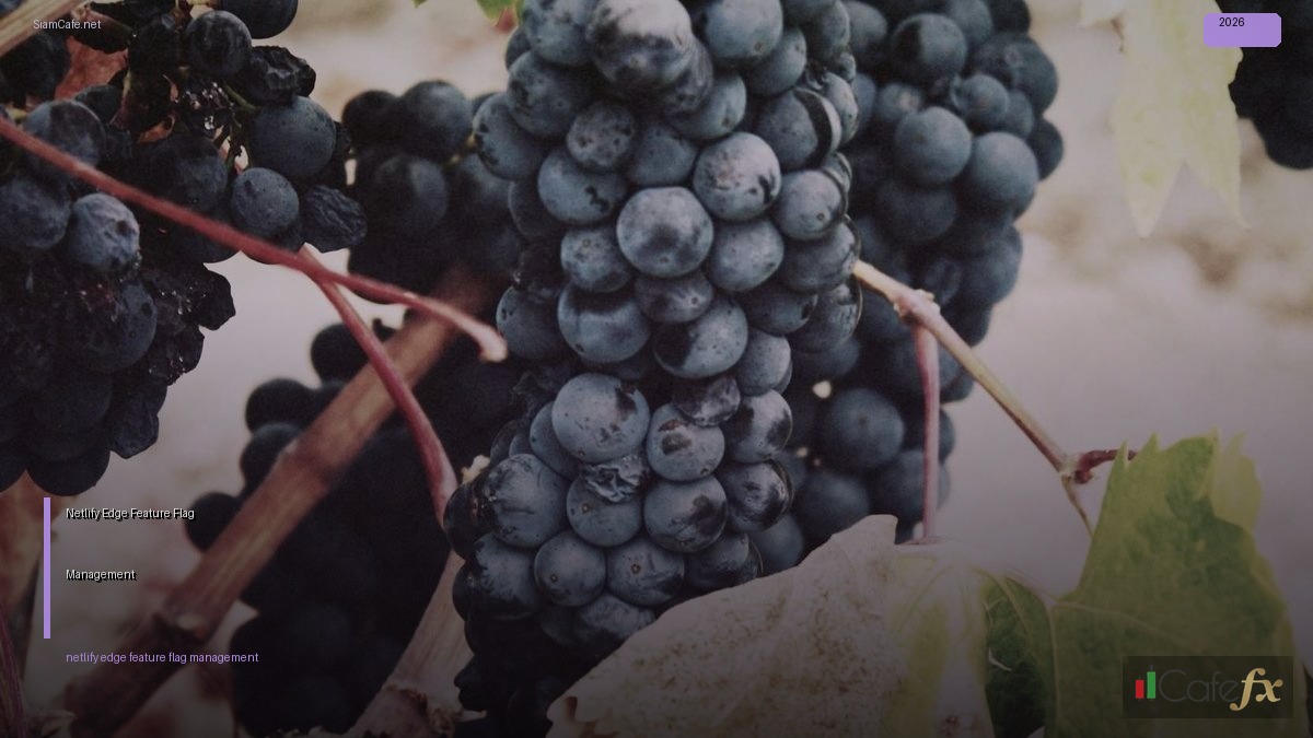 Netlify Edge Feature Flag Management — ทุกสิ่งที่ต้องรู้ในปี 2026 | SiamCafe Blog