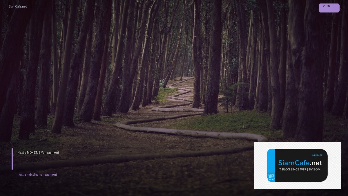 nextra mdx dns management