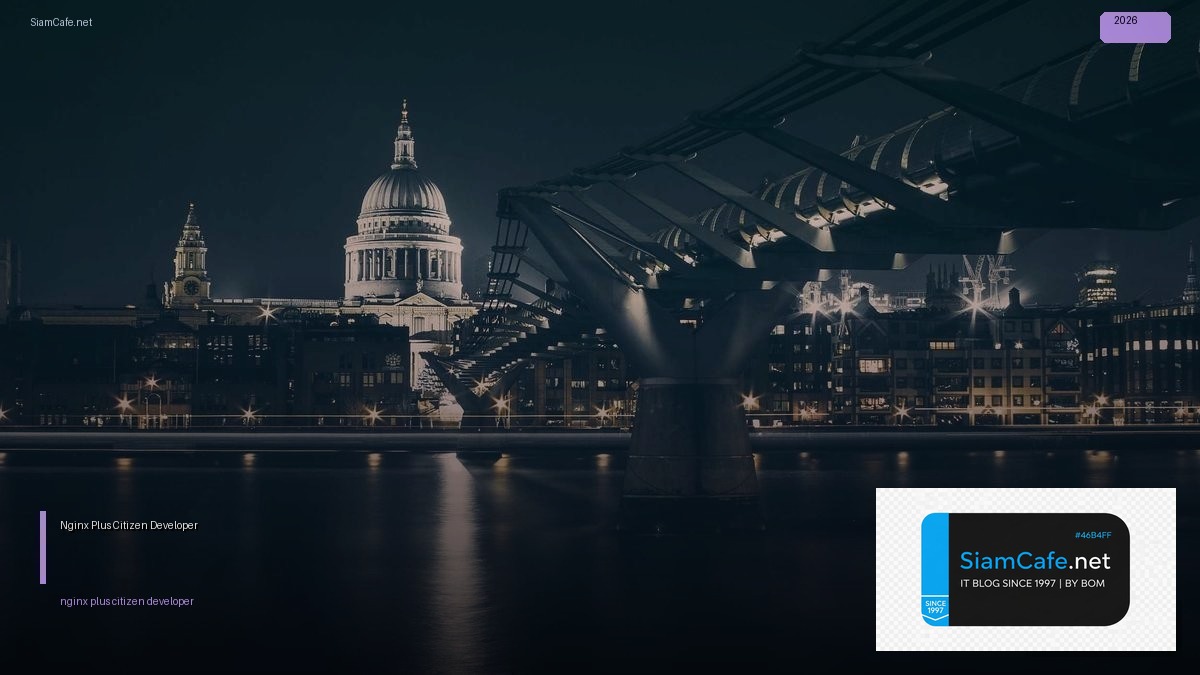 nginx plus citizen developer