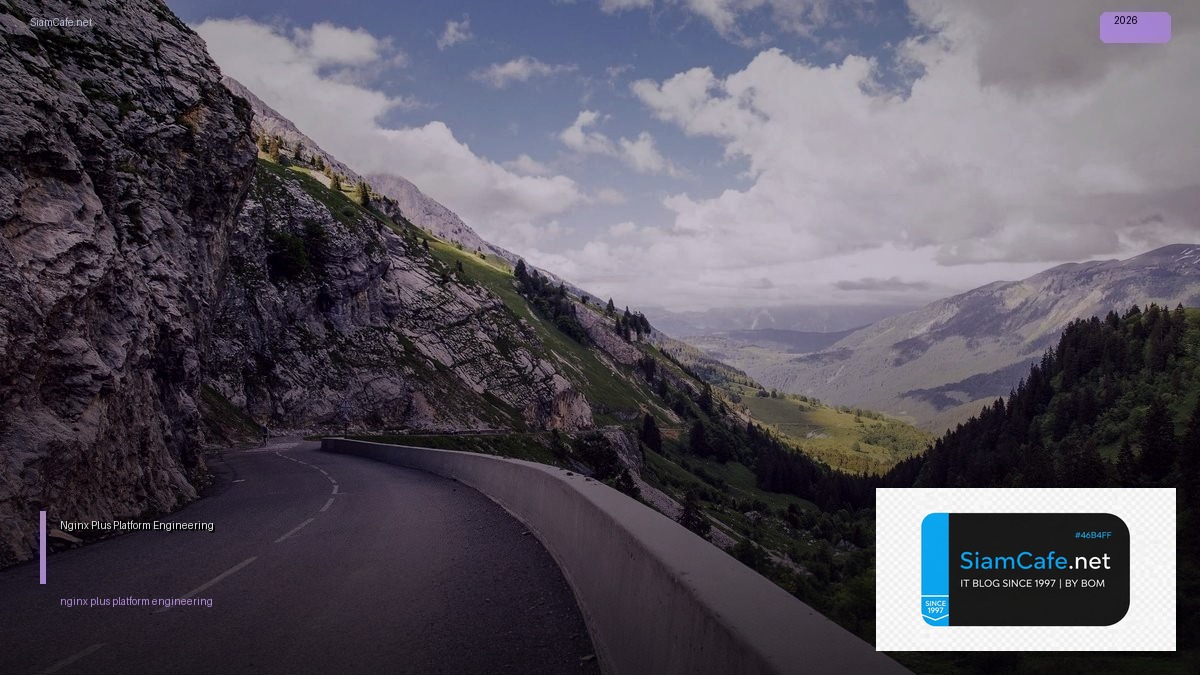 nginx plus platform engineering