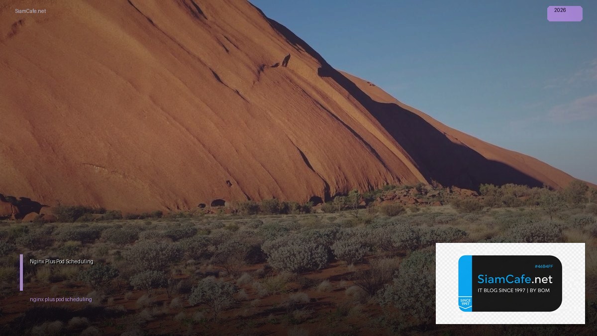 nginx plus pod scheduling