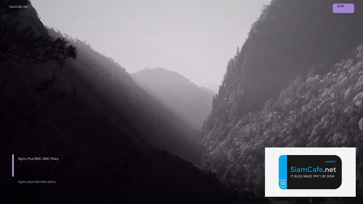 nginx plus rbac abac policy