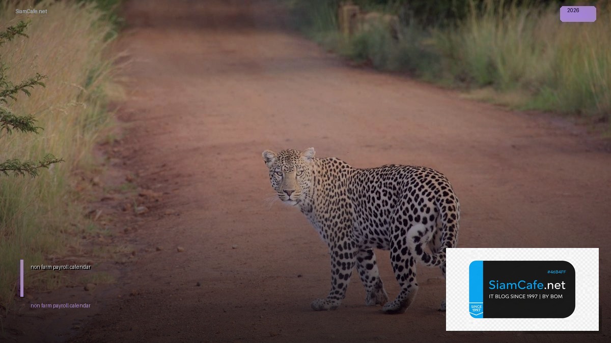 non farm payroll calendar 2019