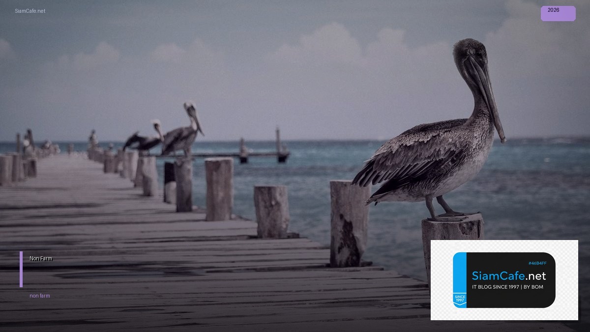 Non Farm — ทุกสิ่งที่ต้องรู้ในปี 2026 | SiamCafe Blog